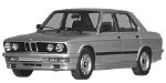 BMW E28 C255C Fault Code
